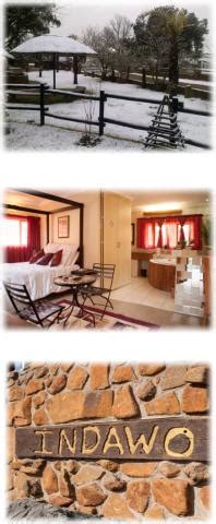 Indawo Game Ranch Ermelo - Accommodation Tourism