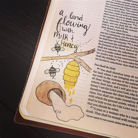 Ericka on Instagram: “#biblejournaling God Promised Israel a Land Flowing with Milk and Honey ...