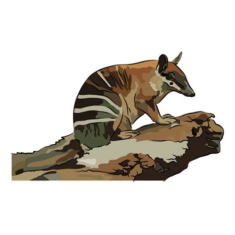 The numbat habitat painting is very beautiful. 9197947 Vector Art at ...