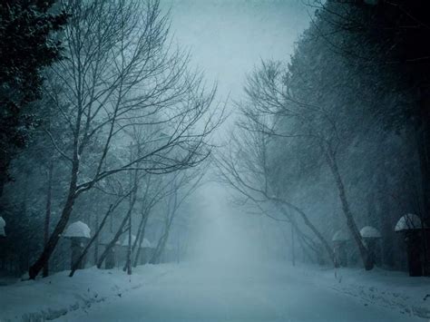 Most Haunted places In Japan: From suicide forest to haunted tunnels, here’s Japan’s most ...