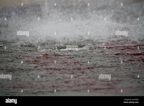 Rainy landscape in the city Stock Photo - Alamy