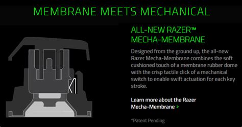 Razer Ornata mecha-membrane keyboard range is launched - Peripherals - News - HEXUS.net