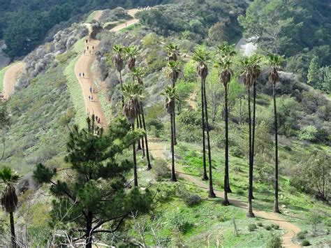 Hollywood Hills Hiking: Runyon Canyon and Griffith Park – Quirky Travel Guy