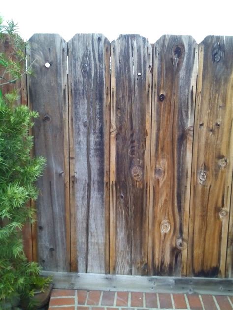 Backyard makeover...this part of the fence is a work in progress! | Backyard makeover, Wood ...