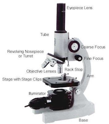 Microscope Parts & Specifications Labeled Diagram | Microscope World Resources