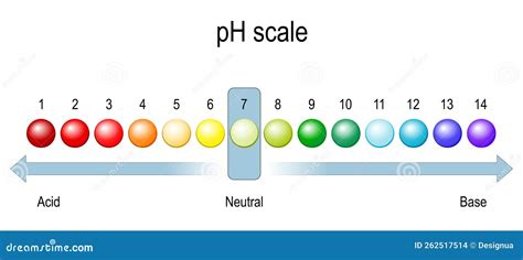 Ph Scale. Chart of PH Value Stock Vector - Illustration of medicine, analysis: 262517514