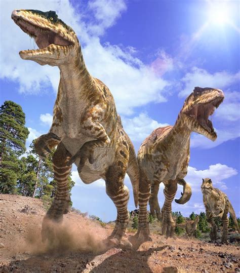 Giganotosaurus Pictures & Facts - The Dinosaur Database