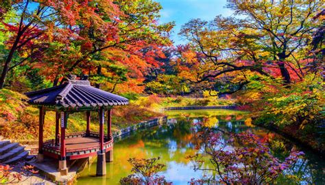 Autumn In Korea: 9 Stunning Places You Should Visit In 2023