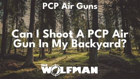 Can I shoot a PCP air gun in my backyard? | The Wolfman