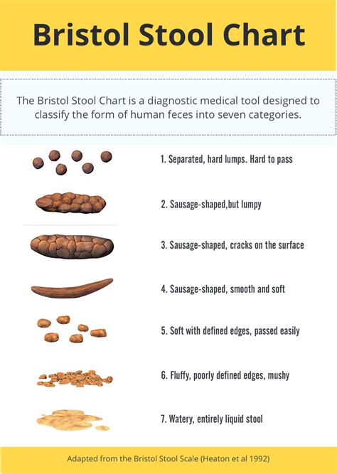 poop stool color changes color chart and meaning healthy concept stock - what your poop is ...