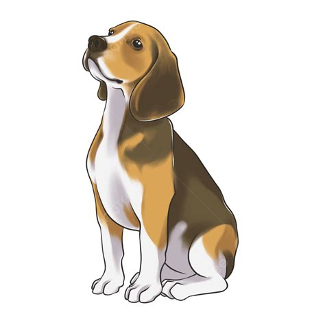 Hand Draw Beagle Illustration, Beagle, Dog, Pet PNG Transparent Clipart ...