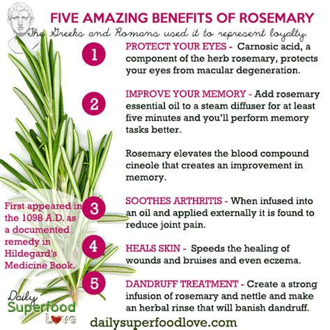 The benefits of rosemary ~ Health and food