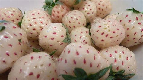 10 Fantastical Hybrid Fruits Worth Knowing (PHOTOS) | HuffPost