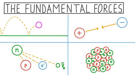 Lesson Video: The Fundamental Forces | Nagwa