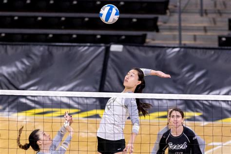 Long Beach State completes the sweep against UC Irvine – Daily 49er