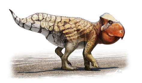 10 Famous Horned Dinosaurs That Weren't Triceratops