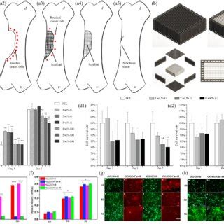 a1-a5 Dual-functional scaffolds for bone cancer applications. a1 Bone... | Download Scientific ...