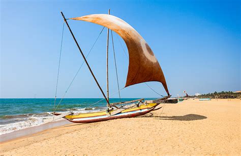 Tourist Attractions, Events, Things to do in Negombo, Sri Lanka | Love ...