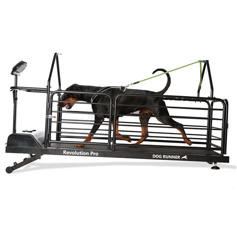 Treadmill for dogs - Dog Runner - Revolution Pro – Dog Runner