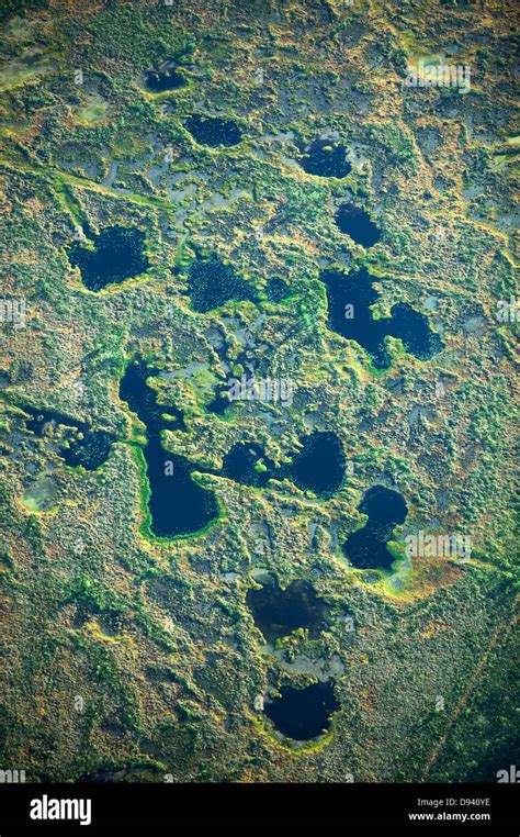 Small lakes on swampy ground, Varmland, Sweden Stock Photo - Alamy