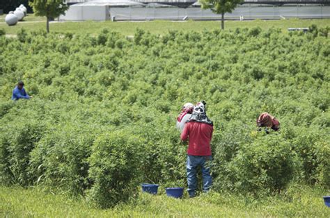 Reinventing Kentucky agriculture - Progressive Forage | Ag Proud