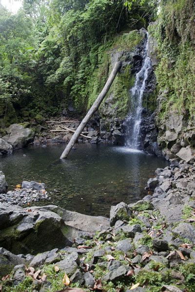 Pohnpei waterfalls | Travel Story and Pictures from Federated States of ...