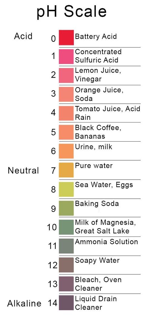 Back to Basics: Acids, Bases & the pH Scale - Precision Laboratories Test Strips | Teaching ...