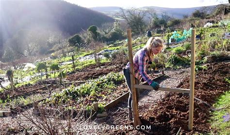 20+ Winter Gardening Ideas for the Vegetable Garden • Lovely Greens