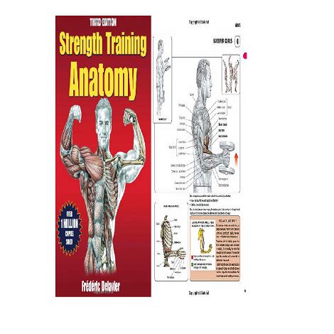 Strength Training Anatomy 3rd Edition Free PDF Download - Niylog