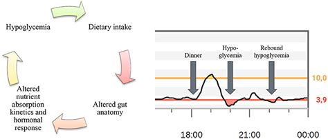 Frontiers | Digital Solutions to Diagnose and Manage Postbariatric Hypoglycemia