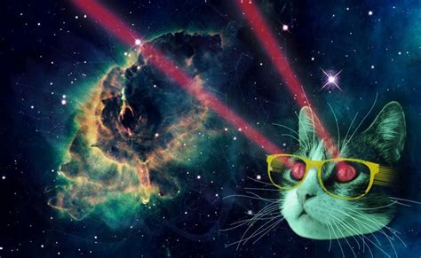 Space cat, Cat laser, Cat wallpaper