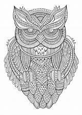 Peaceful Owl  Owls Adult Coloring Pages sketch template