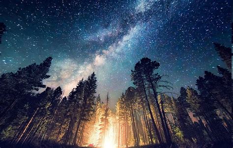 HD wallpaper: forest camping starry night trees milky way long exposure ...