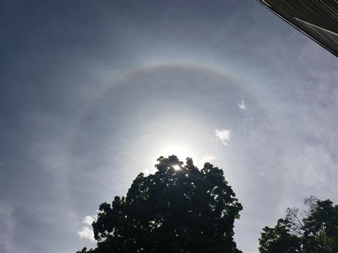 This halo around the sun today : r/mildlyinteresting