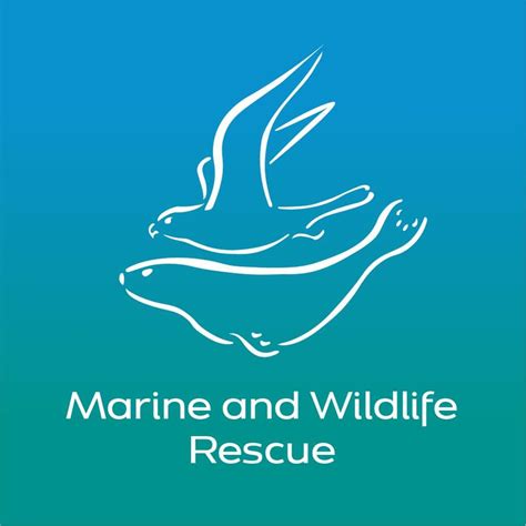 Marine and Wildlife Rescue