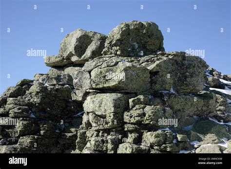 Appalachian Trail - White Mountains New Hampshire USA Stock Photo - Alamy