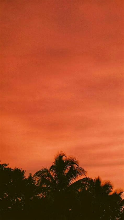 Pin by Inna on 2020 | Orange wallpaper, Orange aesthetic, Nature photography