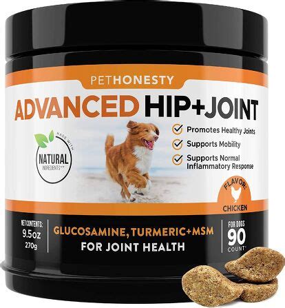 Best Joint Supplements for Dogs | PetGuide