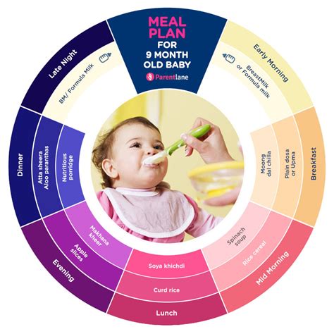 Indian Nutritious Food for 9 Months Old Baby, Food Chart