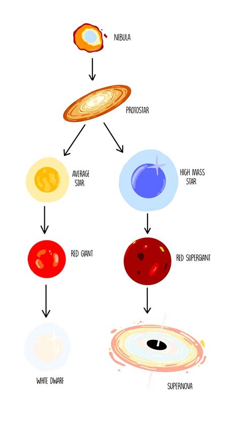 Stellar Evolution (GCSE) — the science sauce