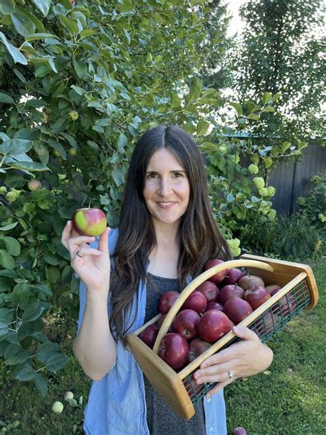 When to pick apples 🍎 🗓 Ensure the freshest and juiciest harvest