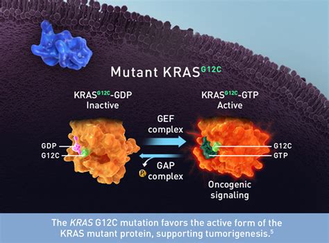 Targeting KRAS-G12C | Amgen Oncology