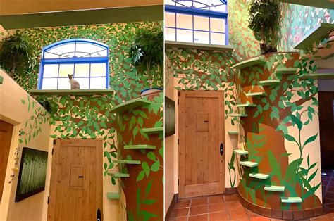 Man Uses $50,000 to Create a Cat Paradise in His Home