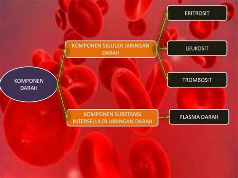 Jaringan Darah (Blood Tissue)