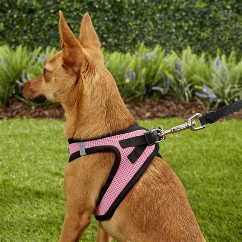 9 Best Dog Harnesses | The Family Handyman