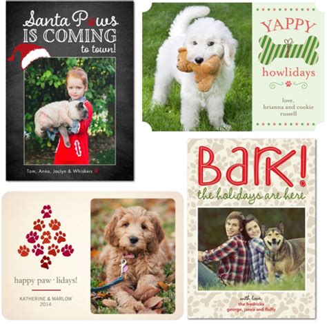 Get 10 FREE Pet-Themed Holiday Photo Cards | Woof Woof Mama