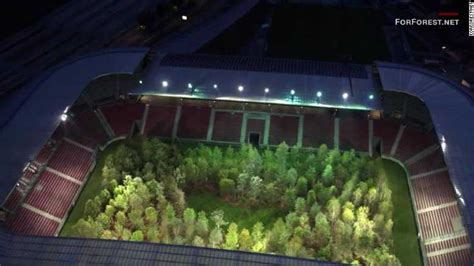 Soccer stadium transformed into lush forest