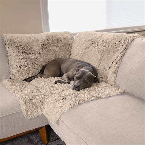 Sofa Saver Dog | Cabinets Matttroy