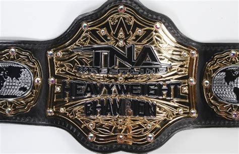 Knockouts to Participate in TNA's World Title Series - Diva Dirt