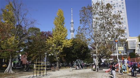 A Week in Tokyo Part 2 – Sky Tree (東京スカイツリ) – Randomwire